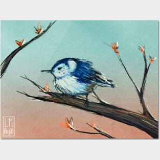 White Breasted Nuthatch Posters and Art